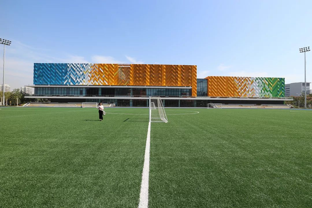 如何利用人工智能技术打造高效的校园体育训练系统？