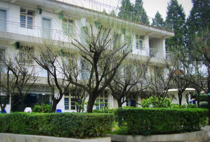 数字化转型：智能点名球如何帮助学校实现高效管理？