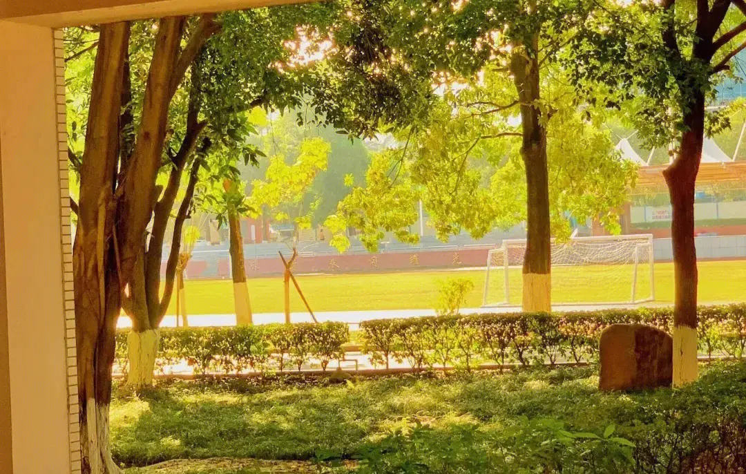 当学子远离家乡，亲情电话成为校园中的心灵纽带