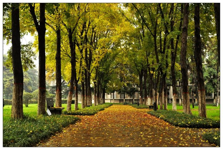 电话线上的情谊：亲情电话串联学生与家人的纽带